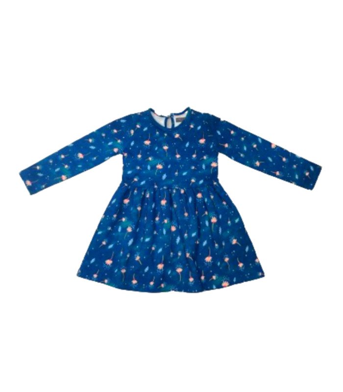 Blue mass frock 